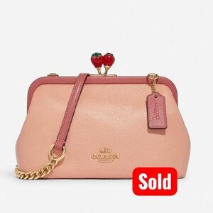 Coach Pink Leather Women's Bag